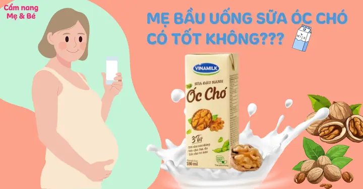 Bầu Uống Sữa Óc Chó Có Tốt Không