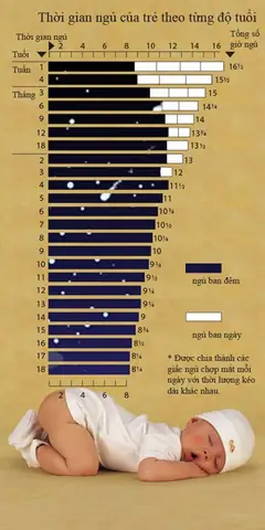 Bé 1 Tuổi Ngủ Mấy Giấc