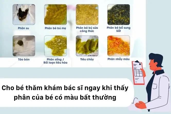 Bé 3 Tháng Đi Ngoài Nhiều Lần Trong Ngày