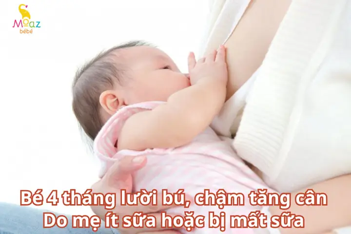 Be 4 Thang Bu It Phai Lam Sao Be 4 Thang Bu It Phai Lam Sao