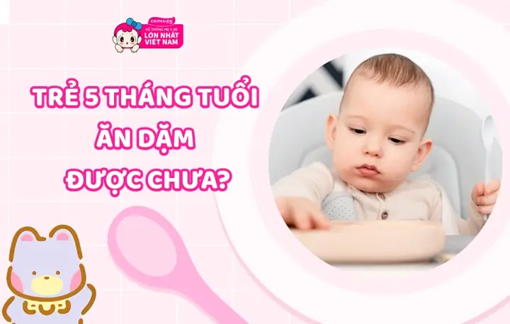 Bé 4 Tháng Đã Ăn Dặm Được Chưa Bé 4 Tháng Đã Ăn Dặm Được Chưa