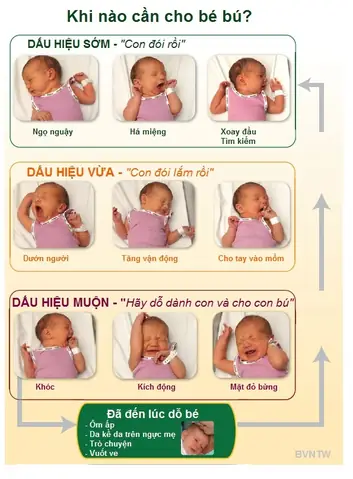 Bé 4 Tháng Tuổi Bú Mẹ Bao Nhiêu Là Đủ