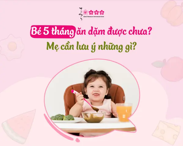 Bé 5 Tháng Rưỡi Ăn Được Những Gì