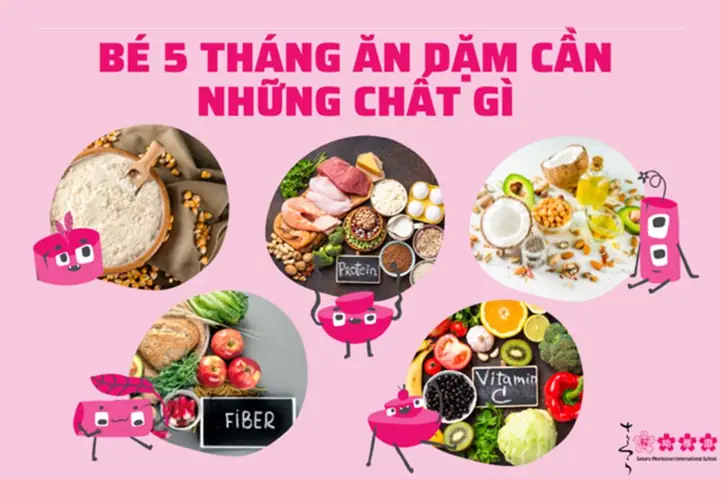 Bé 5 Tháng Rưỡi Ăn Được Những Gì
