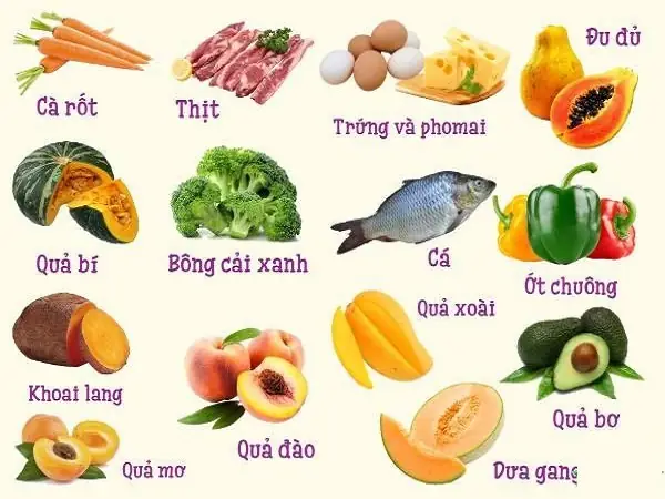 Bé 6 Tháng Tuổi Ăn Được Rau Gì