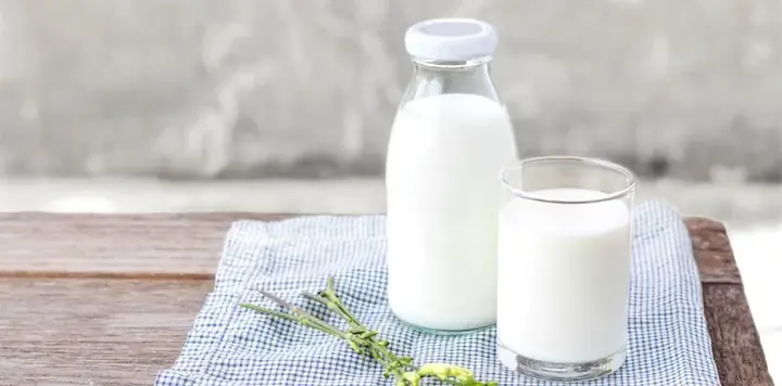 Bé 7 Tháng Uống Sữa Tươi Được Không