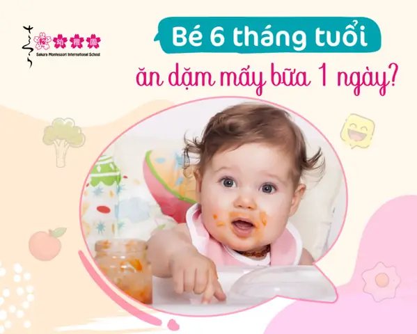 Bé 8 Tháng Ăn Dặm Ngày Mấy Bữa