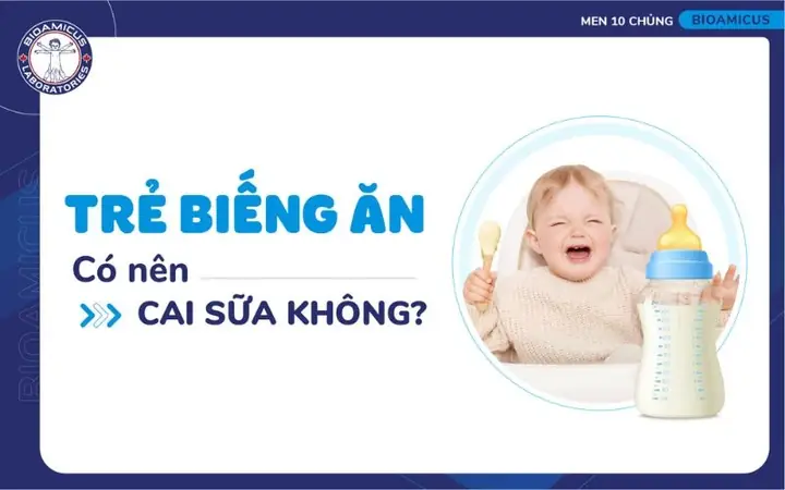 Bé 8 Tháng Lười Ăn Chỉ Bú Mẹ
