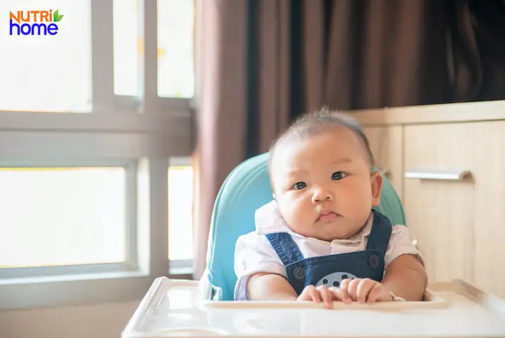 Bé 8 Tháng Lười Ăn Chỉ Bú Mẹ