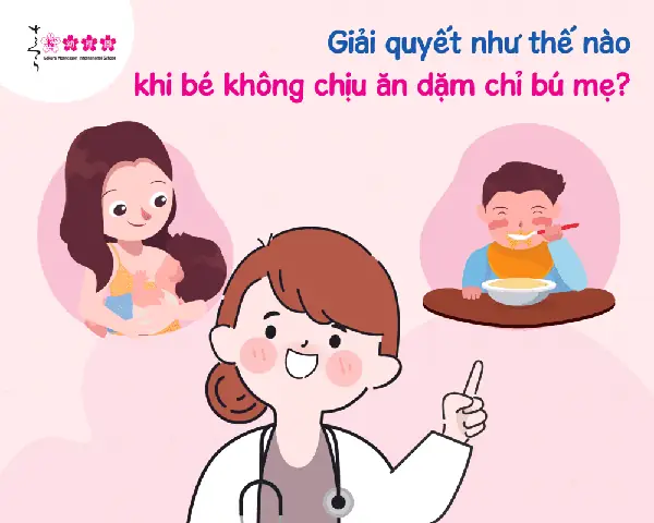 Bé 8 Tháng Lười Ăn Chỉ Bú Mẹ