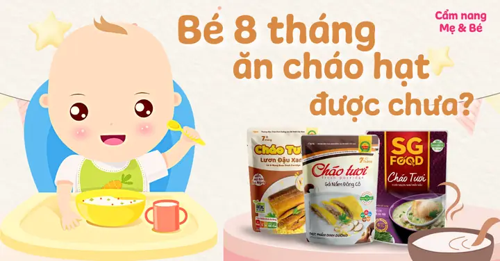 Bé 9 Tháng Ăn Cháo Hạt Được Chưa Bé 9 Tháng Ăn Cháo Hạt Được Chưa