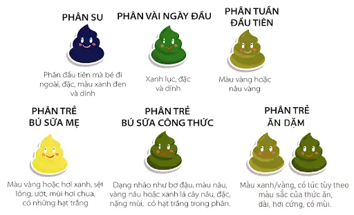Bé Ăn Dặm Đi Phân Xanh