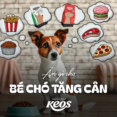 Bé Ăn Gì Để Tăng Cân