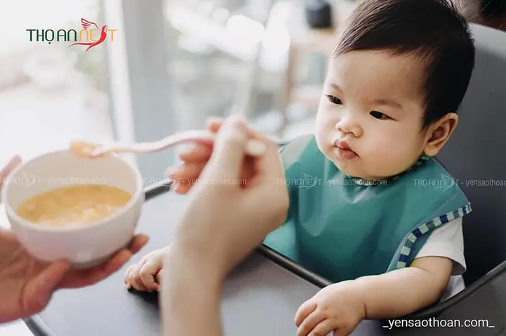 Bé Bao Nhiêu Tháng Thì Ăn Được Yến Chưng