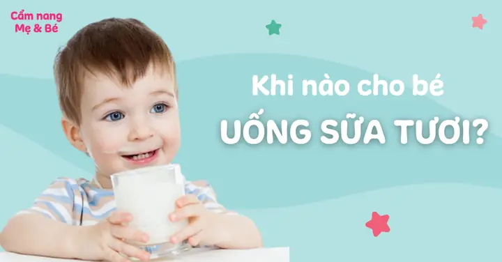 Bé Bao Nhiêu Tuổi Uống Được Sữa Tươi