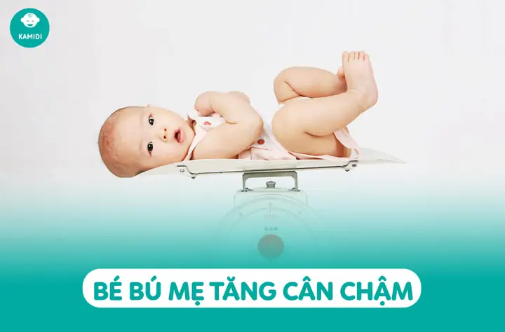 Bé Bú Mẹ Hoàn Toàn Nhưng Không Tăng Cân