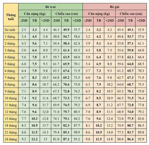 Bé Gái 18 Tháng Tuổi Biết Làm Gì