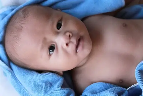 Bé Hai Tuổi Biết Làm Gì