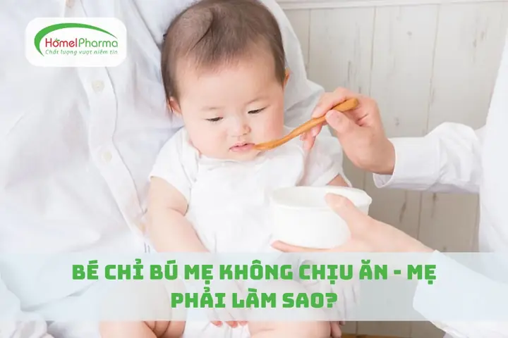 Bé Không Chịu Ăn Bột Phải Làm Sao