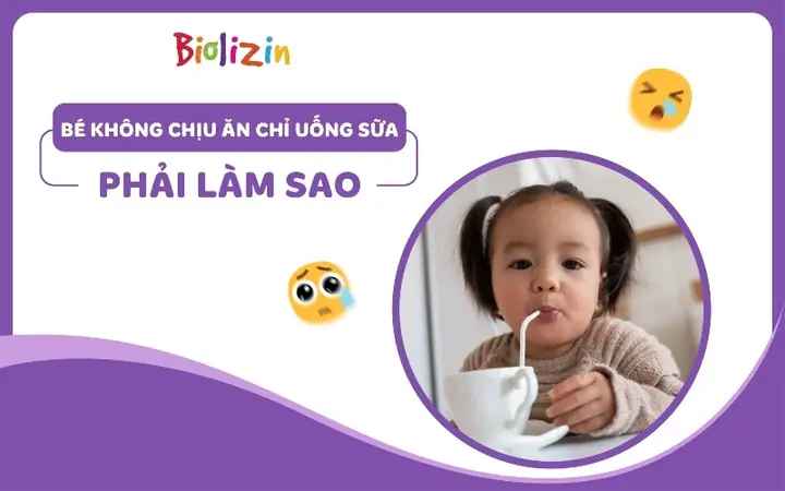 Bé Không Chịu Ăn Dặm Chỉ Uống Sữa Bé Không Chịu Ăn Dặm Chỉ Uống Sữa
