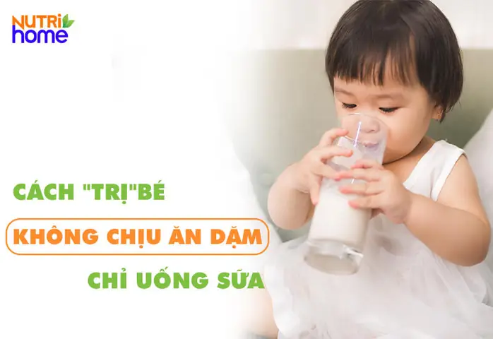 Bé Không Chịu Ăn Dặm Chỉ Uống Sữa Bé Không Chịu Ăn Dặm Chỉ Uống Sữa