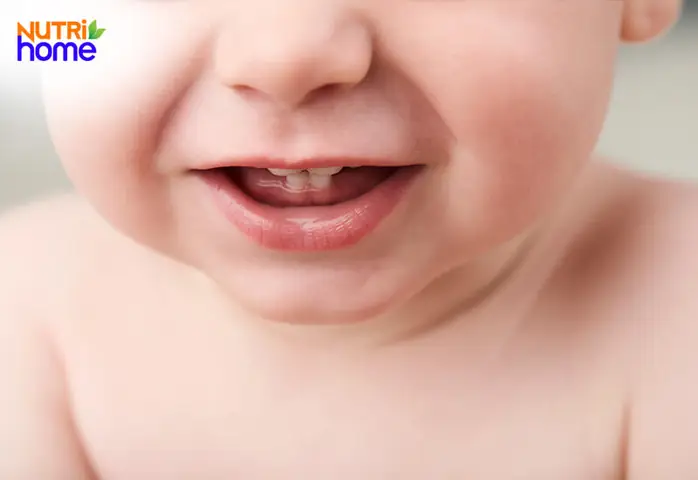Bé Không Chịu Ăn Dặm Chỉ Uống Sữa
