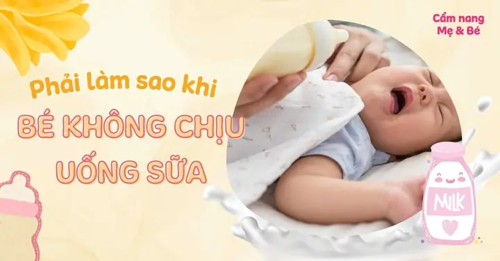 Bé Không Chịu Ăn Sữa Ngoài