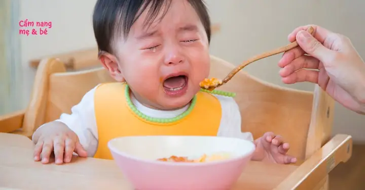 Bé Không Chịu Ngồi Ghế Ăn Bé Không Chịu Ngồi Ghế Ăn