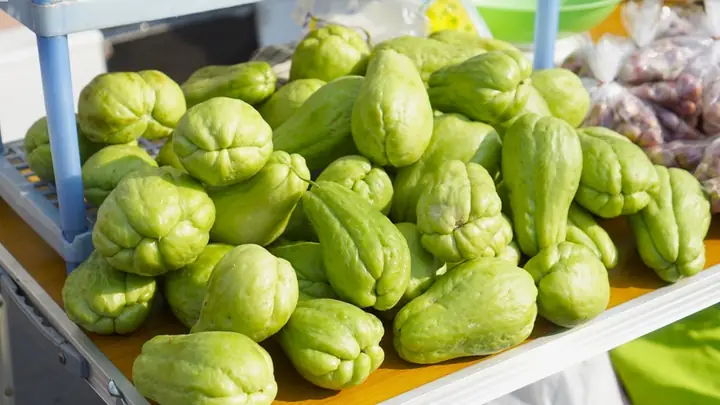 Bé Mấy Tháng Ăn Được Củ Đậu