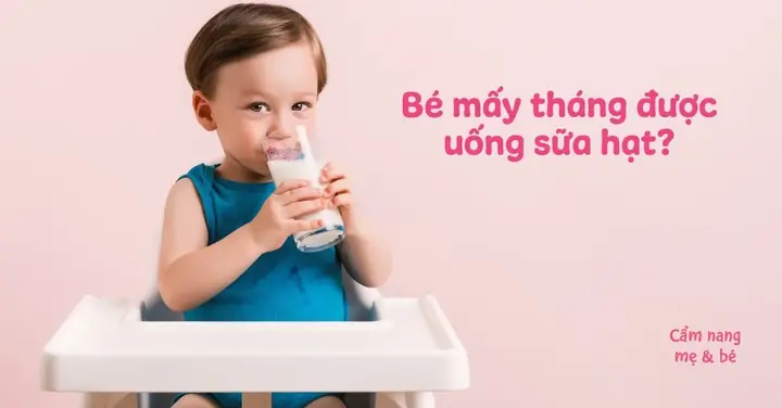 Bé Mấy Tháng Ăn Được Hạt Điều