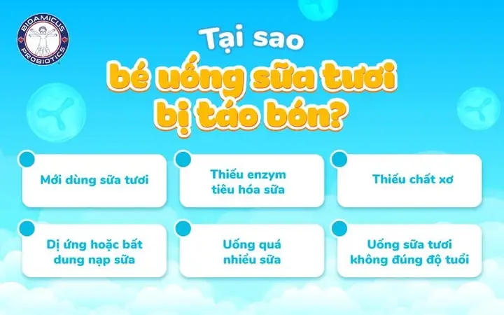 Bé Uống Sữa Tươi Vinamilk Bị Táo Bón