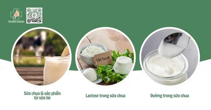 Bị Mụn Có Nên Ăn Sữa Chua