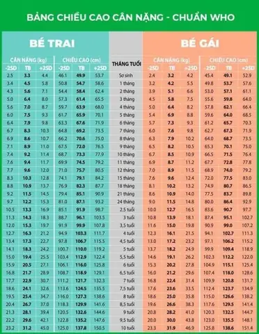 Biểu Đồ Tăng Trưởng Của Bé Gái Theo Who