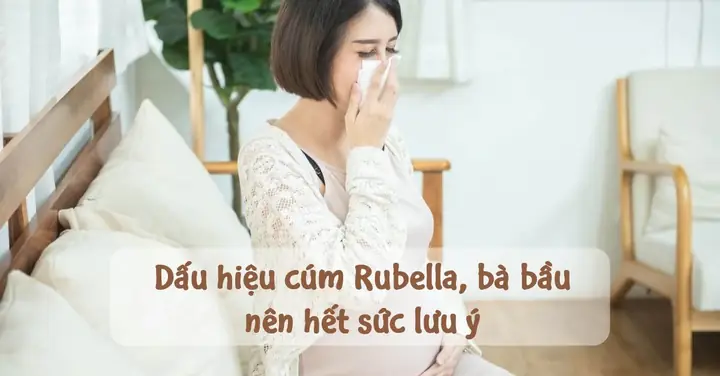 Biểu Hiện Của Bệnh Rubella Ở Bà Bầu