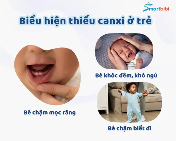 Biểu Hiện Trẻ Em Thiếu Canxi