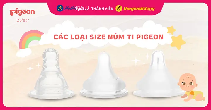 Bình Pigeon 240ml Núm Size Gì