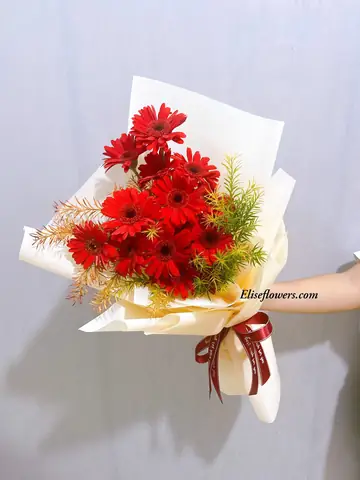 Bó Hoa Đồng Tiền Đẹp Nhất