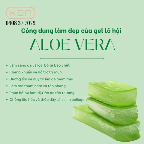 Bôi Nha Đam Để Qua Đêm