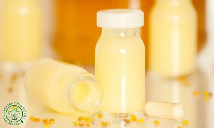 Bôi Sữa Ong Chúa Bị Ngứa