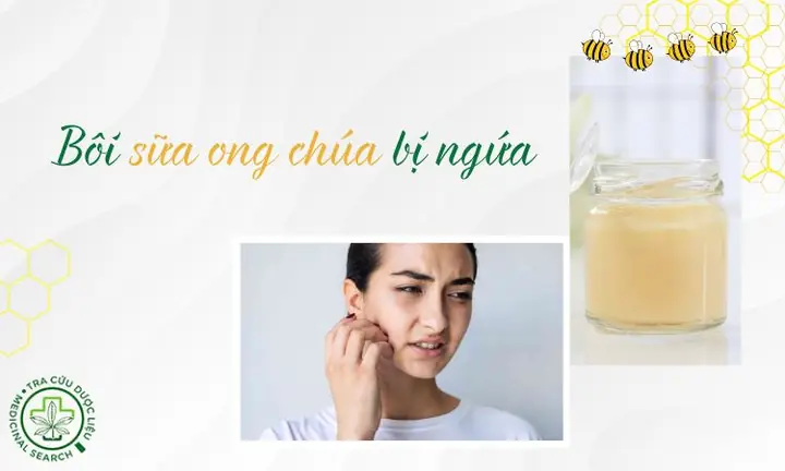 Bôi Sữa Ong Chúa Bị Ngứa Bôi Sữa Ong Chúa Bị Ngứa