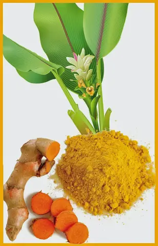 Bot Nghe Va Tinh Bot Nghe Co Khac Nhau Khong