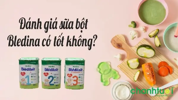 Bột Pha Sữa Bledina Có Tốt Không