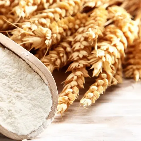 Bột Yến Mạch Ăn Sống Được Không