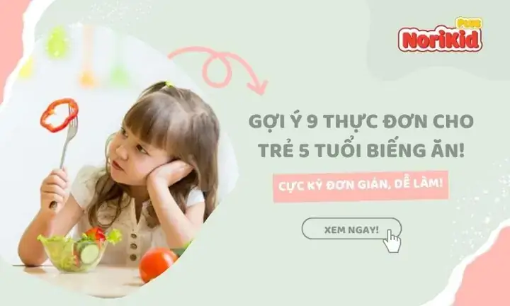 Bữa Sáng Cho Trẻ 5 Tuổi Bữa Sáng Cho Trẻ 5 Tuổi