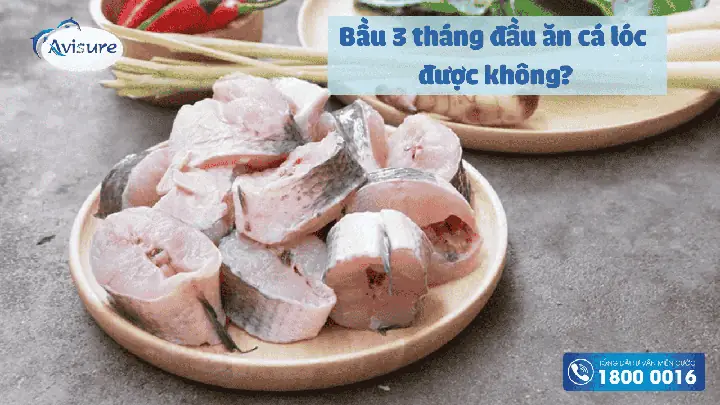 Cá Lóc Có Tốt Cho Bà Bầu Không