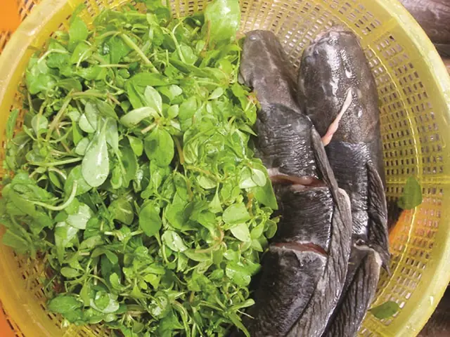 Cá Lóc Nấu Cháo Với Rau Gì