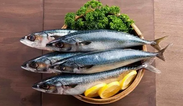 Cá Thu Có Tốt Cho Bà Bầu