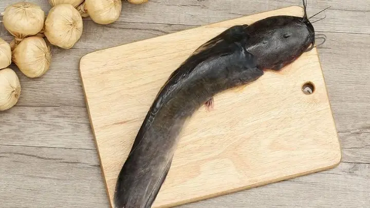 Cá Trê Có Tốt Cho Bà Bầu Không