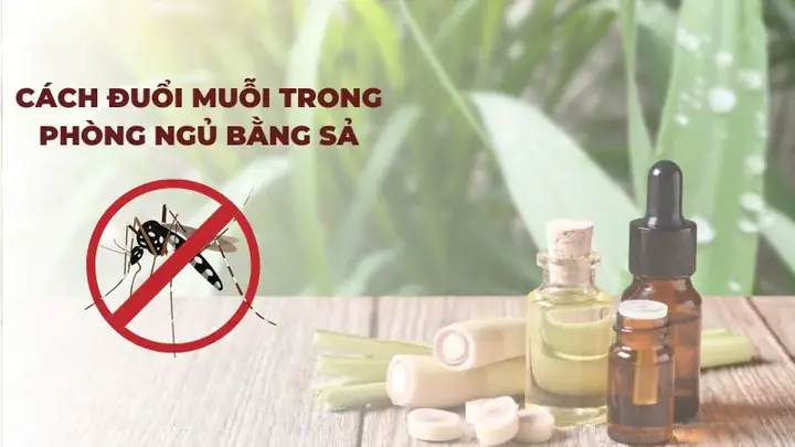 Các Cách Đuổi Muỗi Hiệu Quả
