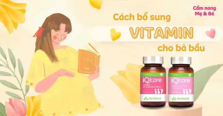 Các Giai Đoạn Bổ Sung Vitamin Cho Bà Bầu